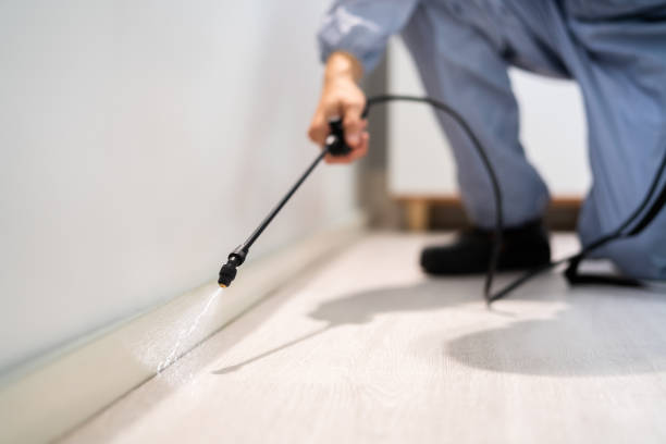 Licensed Termite Control service in Lawton, MI - Nex Pest Control