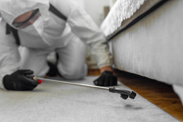 Professional Termite Control technician working in Lawton, MI
