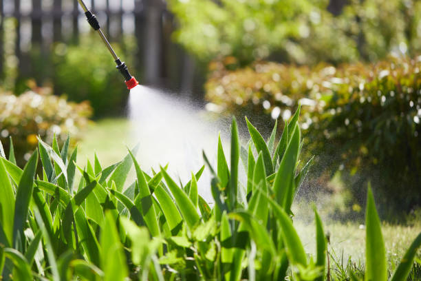 24/7 Emergency Termite Control experts in Lawton, MI