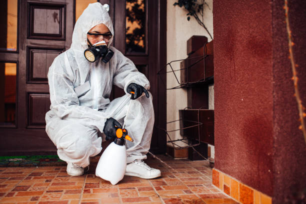 Reliable Termite Control contractor in Lawton, MI by Nex Pest Control