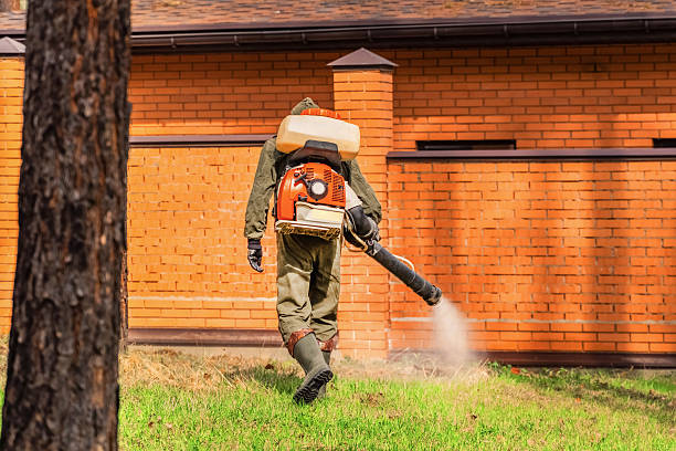 Top rated local Termite Control specialists in Lawton, MI